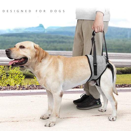Adjustable Dog Lift Harness – Soft Padded Rear Leg Support
